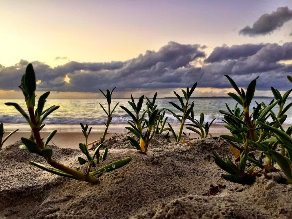 Stradbroke Island Beach Hotel Point Lookout Eksteriør bilde